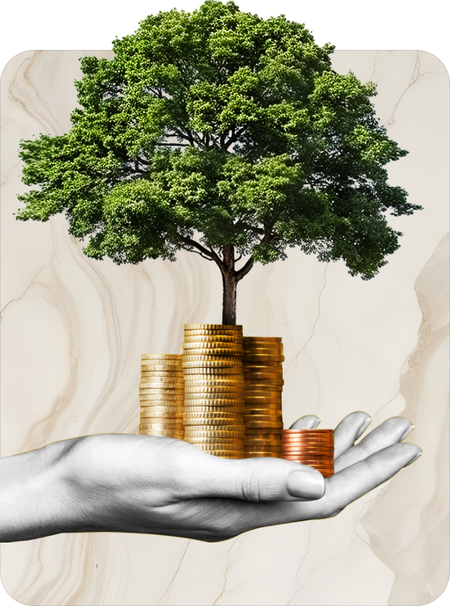 image_02 https://sequoiameridian.com/wp-content/uploads/2024/09/image_02.png