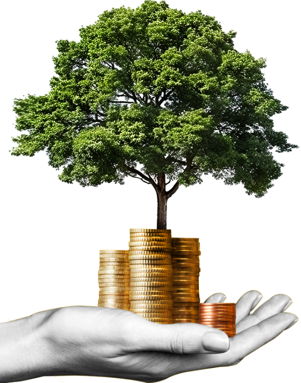 image_group_02 https://sequoiameridian.com/wp-content/uploads/2024/09/image_group_02.png
